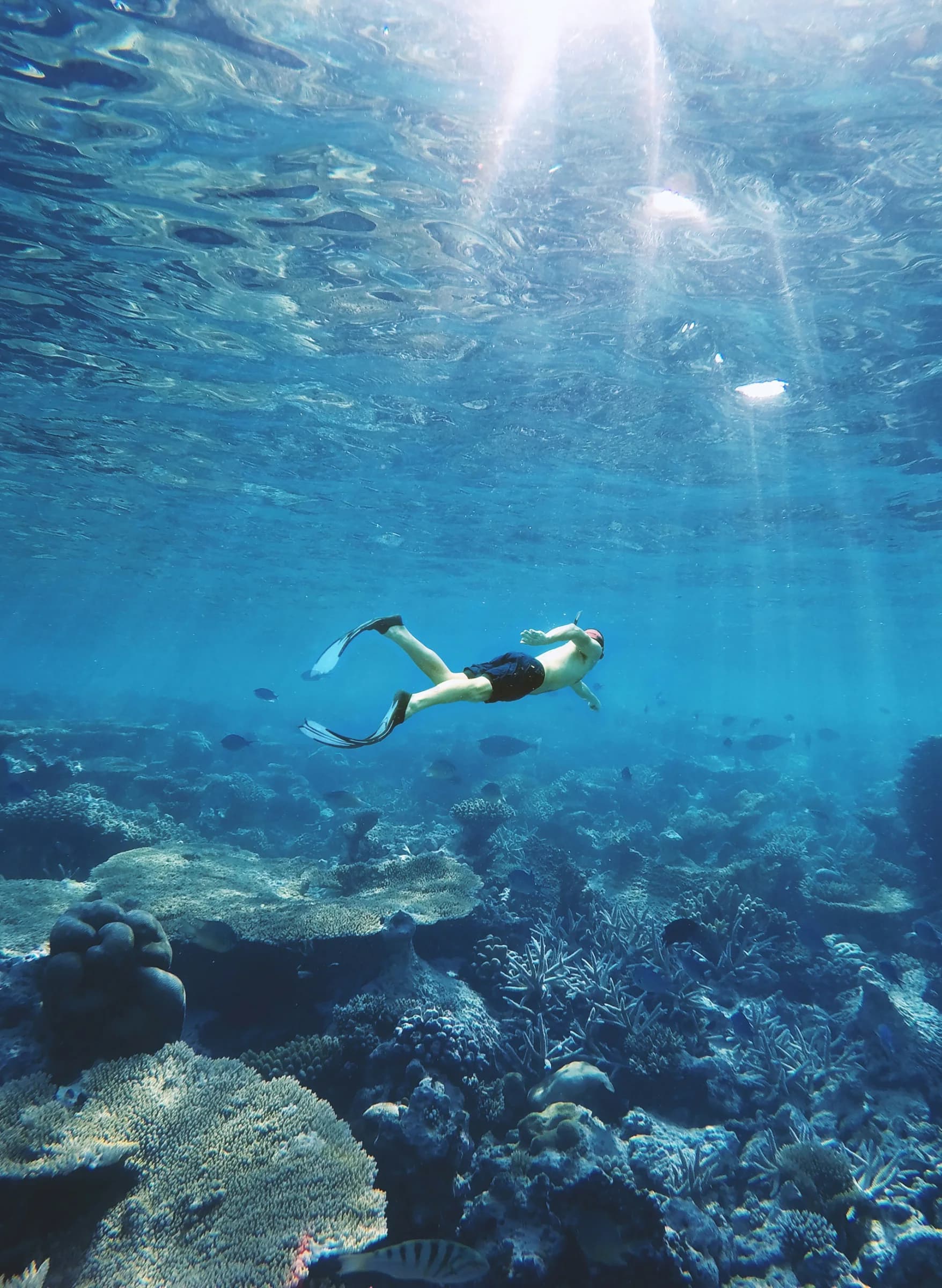 Maldives, locally lived
