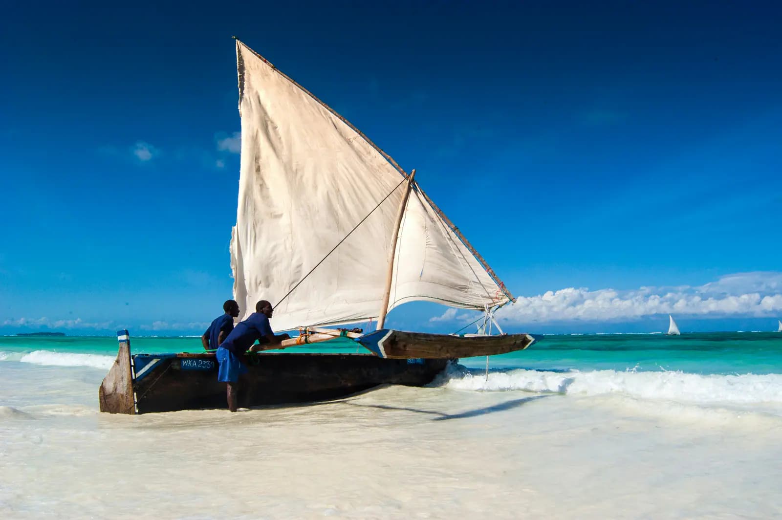 Traditional dhow on the coast of Zanzibar