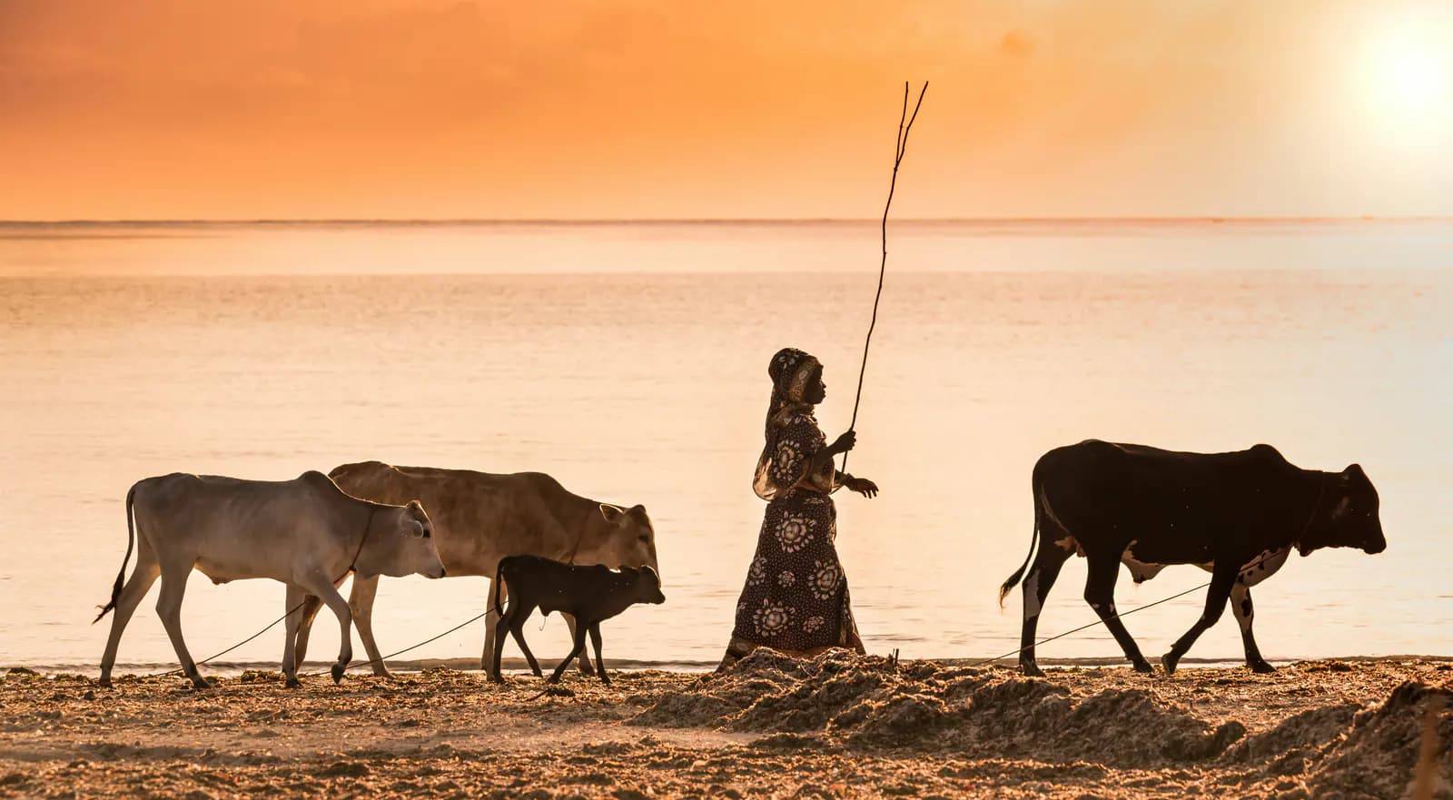 Daily life beside the sea in Zanzibar